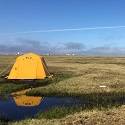 Tent sits on tundra landscape.